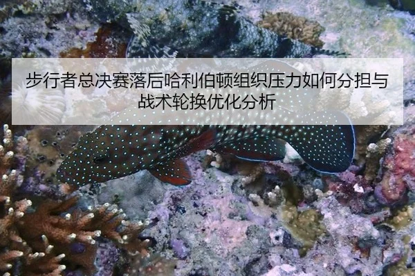 bu-xing-zhe-zong-jue-sai-luo-hou-ha-li-bo-dun-zu-zhi-ya-li-ru-he-fen-dan-yu-zhan-shu-lun-huan-you-hua-fen-xi-2-605.jpg